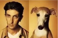 對于狗狗的這些秘密，您知道多少？