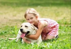 養(yǎng)狗一陣子，狗記一輩子