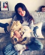 全世界最貴的貓都在這了！大多數人一輩子都沒